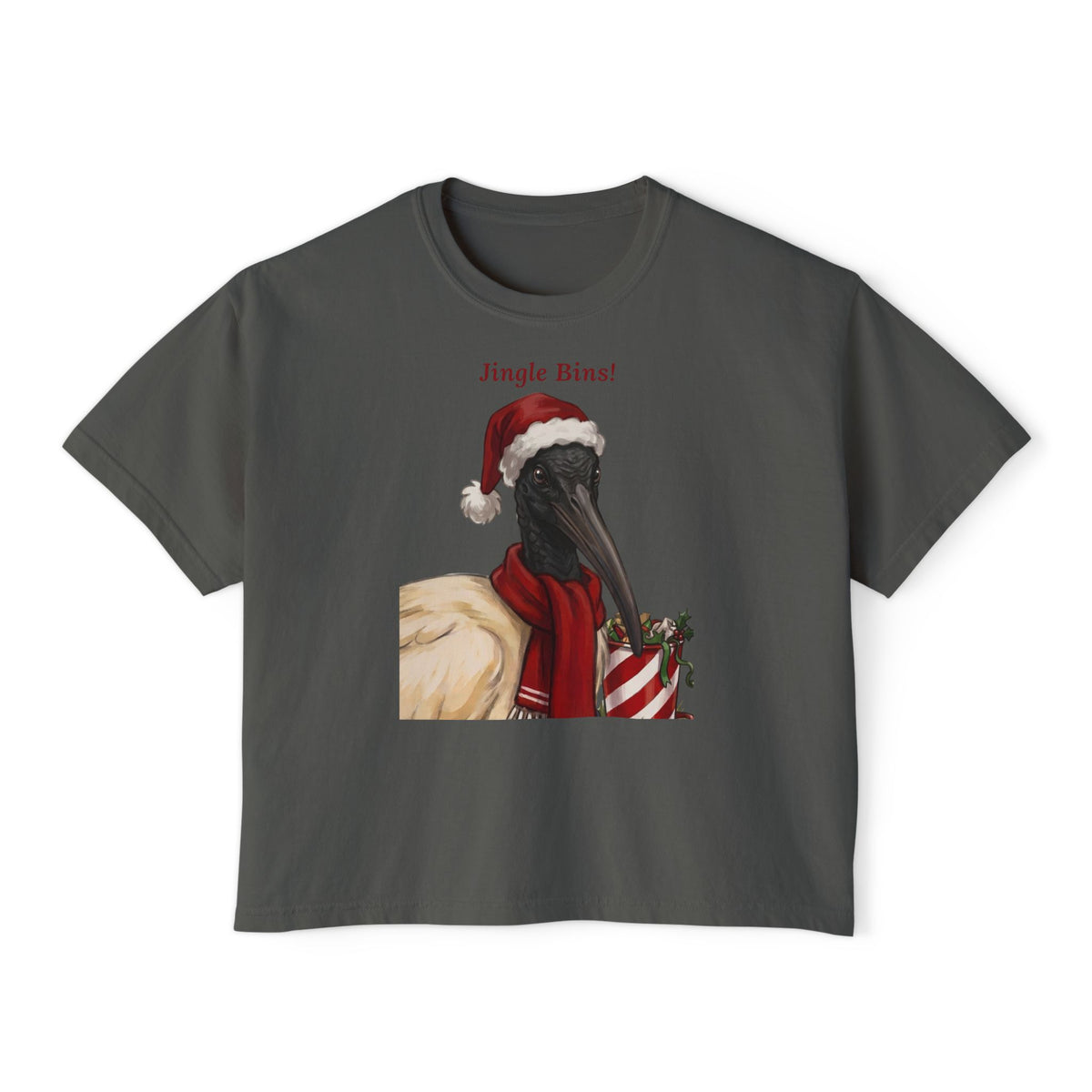 Dark gray T-shirt with 'Jingle Bins!' ibis in Santa hat chest graphic