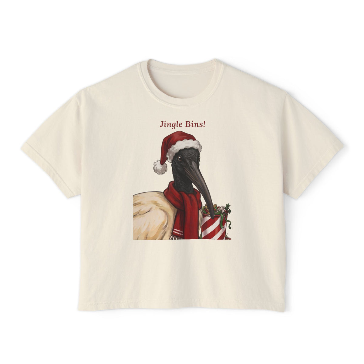 Ivory T-shirt with 'Jingle Bins!' ibis in Santa hat chest graphic