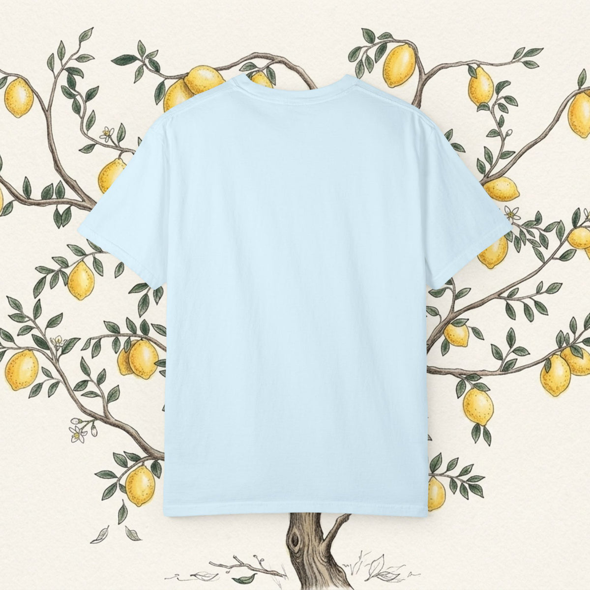 Light blue crew-neck T-shirt back view, short sleeves